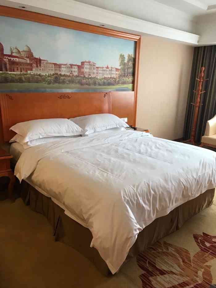 维也纳酒店(常德步行街店)-"[性价比]性价比高 [卫生]干净整洁 [.