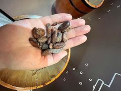 -歌斐颂巧克力小镇