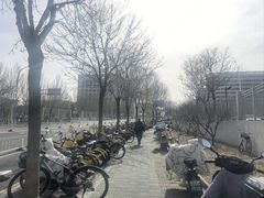 -首都医科大学附属北京天坛医院