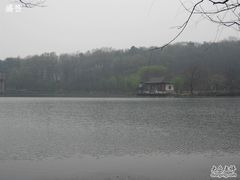 -紫霞湖公园