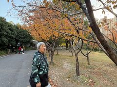 -苏州河梦清园环保主题公园