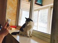 -三点小吃(山大店)