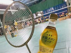 -东丽温泉羽毛球