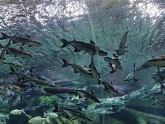 -波塞冬旅游度假区