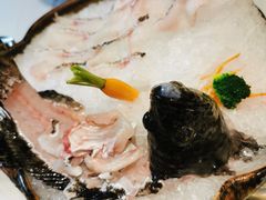 石斑鱼-红鼎豆捞(临江大道店)