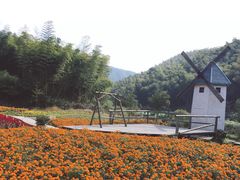 -宁波浙东大竹海景区