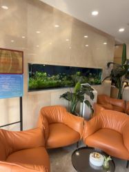 -臻悦医疗美容整形门诊部