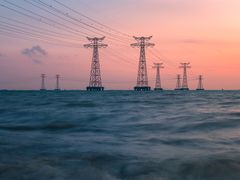 -宝安西湾红树林湿地公园