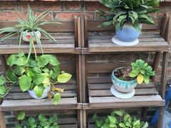 -青韵台陶艺Diy(永庆坊店)