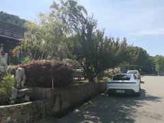 -呼吸森林·生态农庄农家乐私房菜