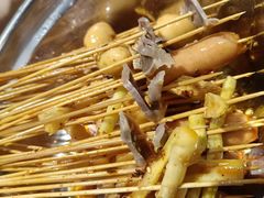 -乐山鲜知味钵钵鸡(奎星楼店)