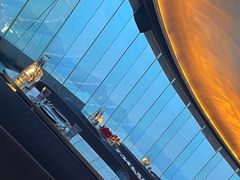 -Hi City·城市之巅