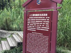 -成都市活水公园