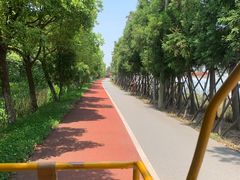 -上海长兴岛郊野公园