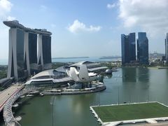 -新加坡丽思卡尔顿美年酒店