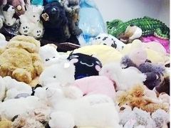 -静岸花卉园艺(三星坊店)