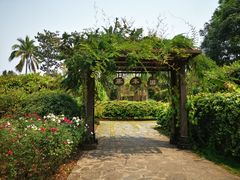 -中国科学院西双版纳热带植物园