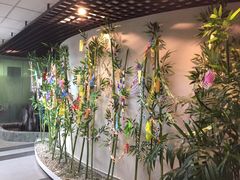 -樱花国际日语(徐家汇中心)