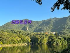 -深圳仙湖植物园