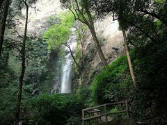-莫里热带雨林景区
