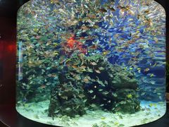 -成都浩海立方海洋公园