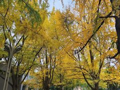 -四川大学(华西校区)