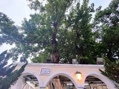 -雅憩花园餐厅