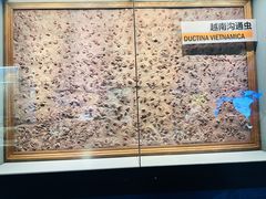 -湖南省地质博物馆