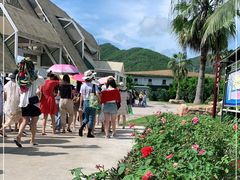 -亚龙湾国际玫瑰谷