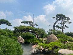 -罗红摄影艺术馆