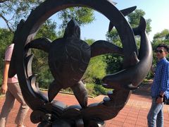 -广东惠东海龟国家级自然保护区