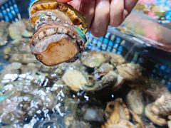 -西北农副产品中心批发市场(广安路店)