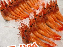 -月龍吟(朝龙汇店)