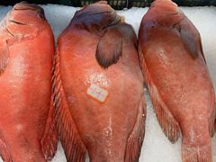 -海蓝海鲜馆(五四北店)