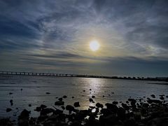 -宝安西湾红树林湿地公园