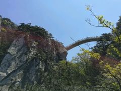 -罗田天堂寨风景区