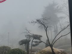-曾福兴