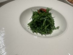 -觀芷隐轩
