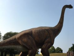 -南通洲际绿博园