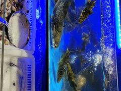 -布多斯烤肉火锅自助(江腾广场店)