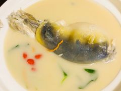 -肆月河豚·新淮扬(金融街店)