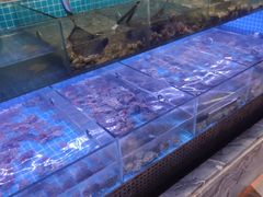 -海韵之星邮轮水会(明发商业广场店)