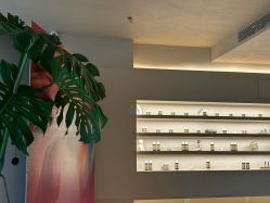 -芳香乐府疗愈空间·SPA·冥想