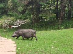 -硗碛藏寨·神木垒景区