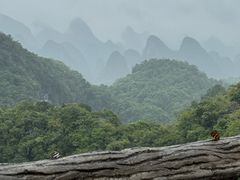 -香桥岩溶国家地质公园