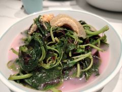-姚姚酸菜鱼·金戈戈香港豉油鸡(喜荟城联名店)