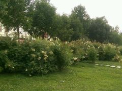 -绥芬河国门景区