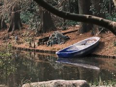 -上海共青森林公园