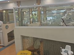 -温州牙科医院