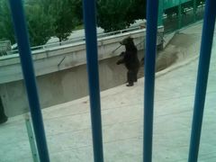 -鄂尔多斯野生动物园